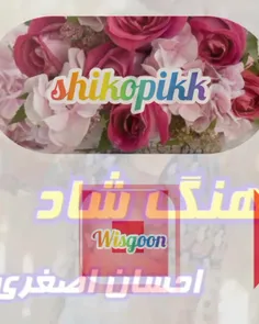 https://wisgoon.com/shikopikk