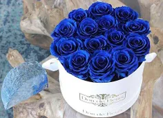 #flower #rose #blue