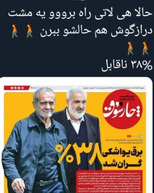  iran2386 70711277 - عکس ویسگون