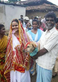 ازدواج اجباری دختر 9 ساله با سگ
