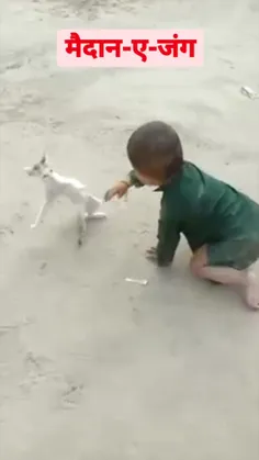 دعوای نینی و پیشی😂😂😂👶🏻🐱