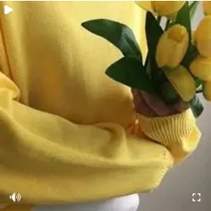 ── .✦ Limyori 🛵 ⋮ 🌻⌗ ┆⊹ ࣪ ˖ˎ