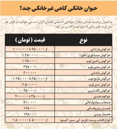 حیوانات خانگی مد شده در کشور و قیمت آنها