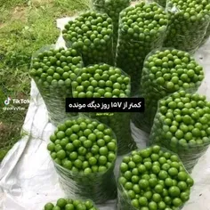 ۸۰ تایی شدیم😐🤨چه زود