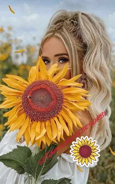 🌻