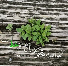 نخواهد#مرد_قلبی که درآن#عشق_خداست