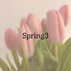 spring 3