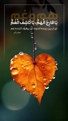 h_mousavi 62694728