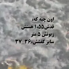 جواب همتون برام مهمه بهم بگو جواب تو چیه 