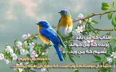 عکس نوشته maligh 13697665