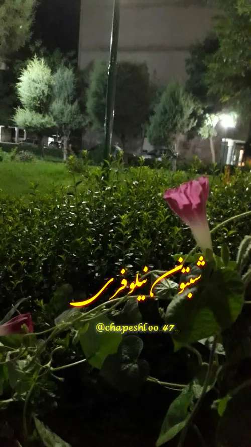 سلام برهمگی دوستان عزیز