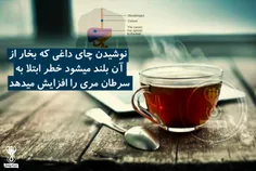 تحقیقات نشان میدهد که نوشیدن چای داغی که بخار از آن بلند 