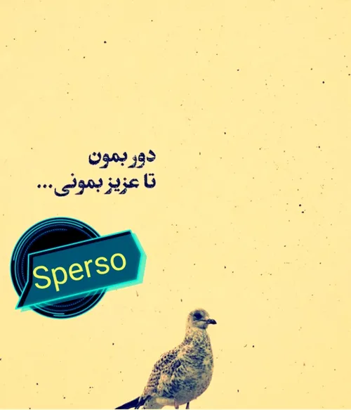 عکس نوشته sperso 41291233 - عکس ویسگون