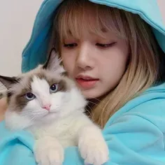 LISA💙🐈