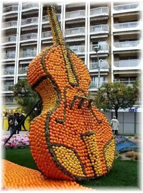خلاقیت هنر خوراکی میوه