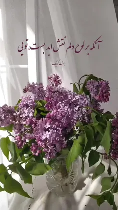 آنکه برلوح دلم نقش ابد بست تویی