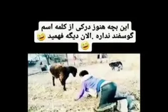 مگه مجبوری 😂😂😂