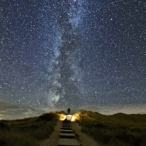 مسیر بهشت نام یکی از معروفترین عکس های جنجالی در اینترنت 