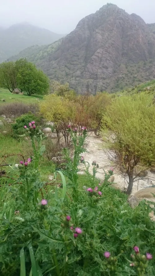 طبیعت زیبای شهر دورود