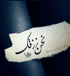 ما به شما روزی می دهیم.