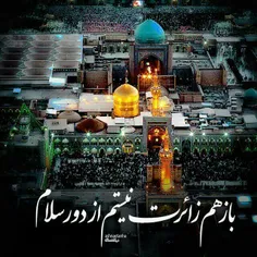 Http://parsico.net/pages/imamreza/