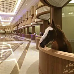 لوکس ترین اصطبل اسب جهان در دبی