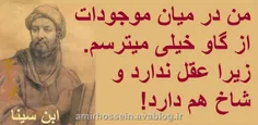 سخنی از ابو علی سینا