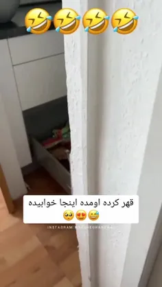 ناز نیست؟؟؟🥺🥺🥺🥺🥺🥺