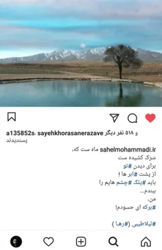 لیلا طیبی (رهــا)