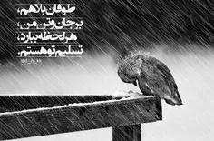 عکس نوشته baranesepid 21402035