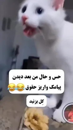 اره بخدا خیلی حس خوبی هست که پول واریز میشه