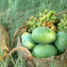 دختره پست گذاشته: ازهمه پسرا متنفرم... جز پسرعمم،  پسردای