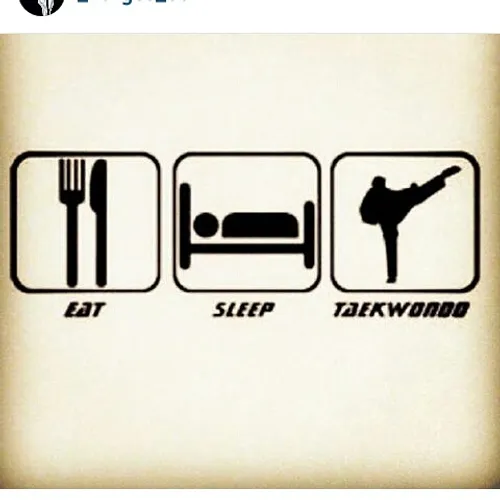 MY LIFE: EAT…SLEEP…TAEKWONDO