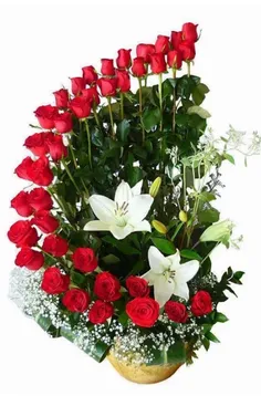 تقدیم به همه دوستان
