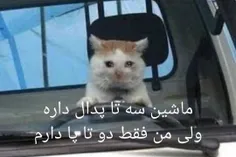 افکار من روز اول آموزش رانندگی😅😂😂😂😂