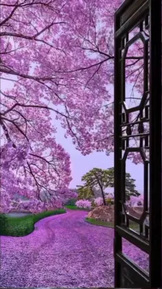 شکوفه های ژاپنی