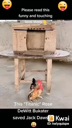 #عشق