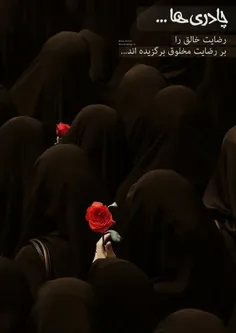 سوال: چرا زنان مسلمان برای حجاب برتر خود ( چادر ) رنگ مشک