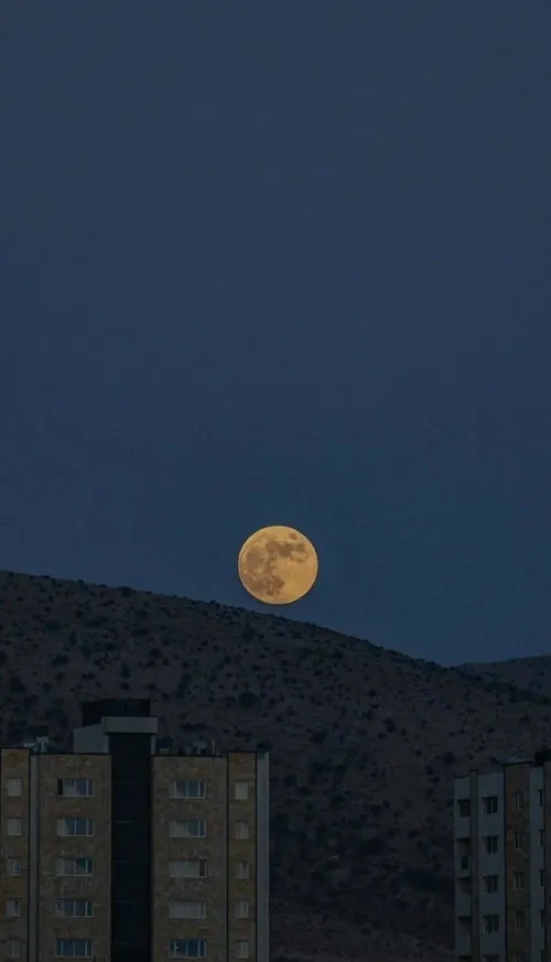 همیشه شب خوبی داشته باشید🌙❤️