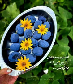 h_mousavi 62701149