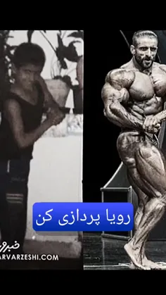 رویا پردازی کن شاید به رویات رسیدی..