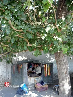 🔴 نامش عارف است و #کفاش محله شهران. ۶فرزند دارد و می گوید