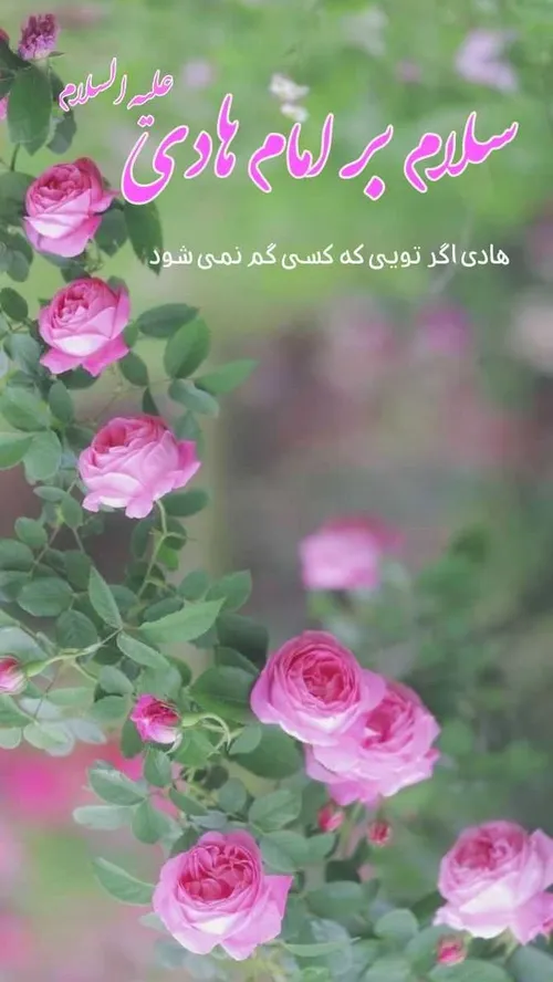 چون دل که میان زلف کسی ساده گم شدم