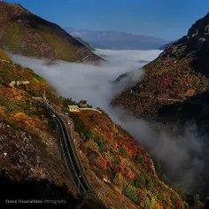 جاده چالوس  سیاه بیشه