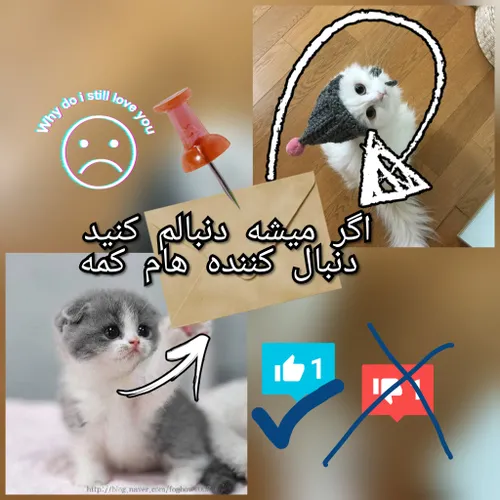 اگه میشه دنبالم کنید