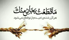 روزی حضرت موسی ( علیه السلام ) در کوه طور ،