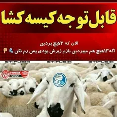 😂 😄 #و_زیر_‌پرسپولیسی