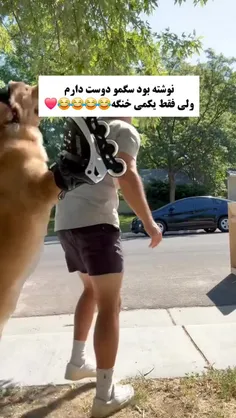 منم از این سگا میخوام✨️🤣