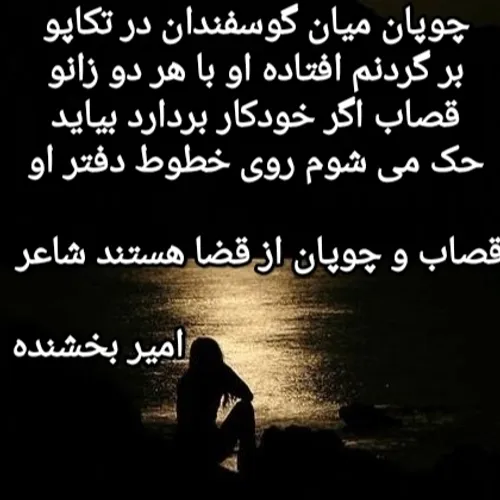 شعر