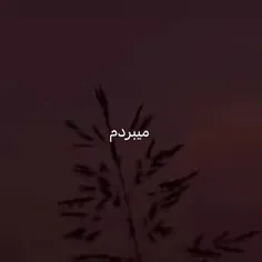 می‌بردم دلیل بردم تو بودی🥲❤️